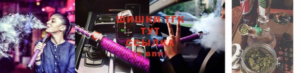 индика Навашино