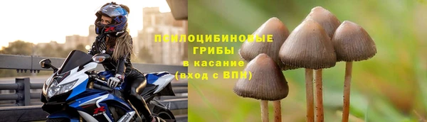 индика Навашино