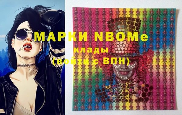 индика Навашино