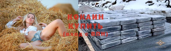 индика Навашино