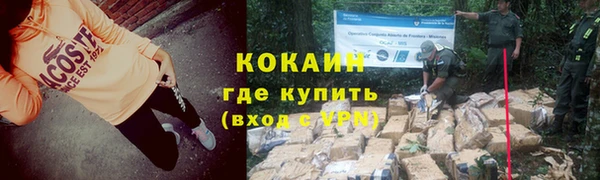 трава Наволоки