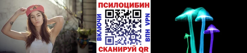 где купить наркотик  Козельск  Галлюциногенные грибы мицелий 