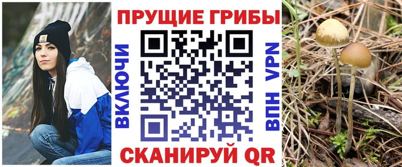 Галлюциногенные грибы Cubensis Козельск