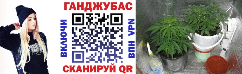 магазин продажи   Козельск  mega   Бошки марихуана Ganja 